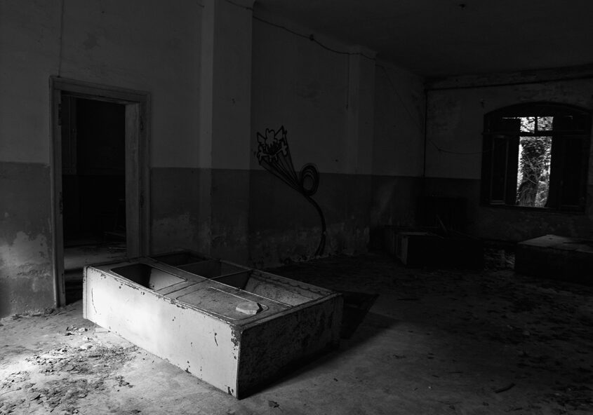 Isola di Poveglia, Venezia, foto di Valentina Boscolo