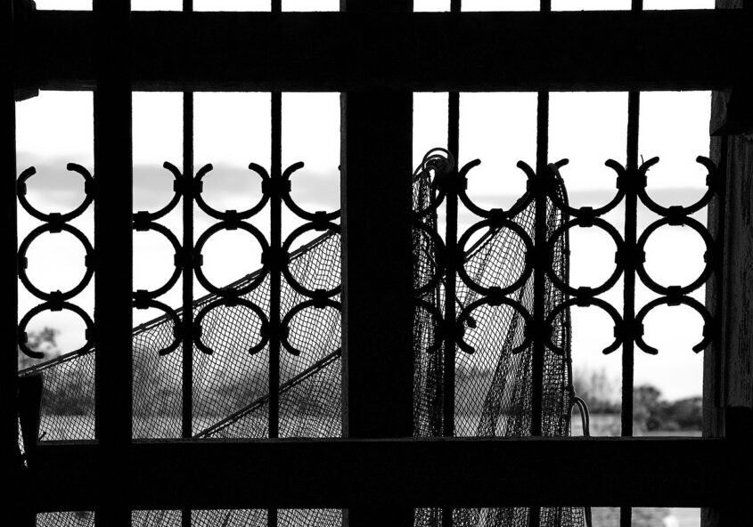Isola di Poveglia, Venezia, foto di Valentina Boscolo
