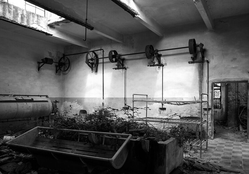 Isola di Poveglia, Venezia, foto di Valentina Boscolo
